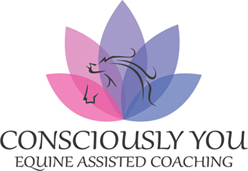 Consciously You Equine Assisted Coaching